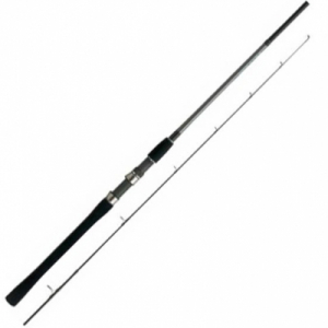 Спиннинг Shimano Salty Shot AR-C S806ML