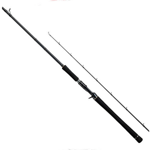 Спиннинг Tailwalk Master Build Jigging C55H