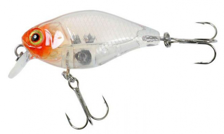Chubby_clear_salmon_roe_head.jpg