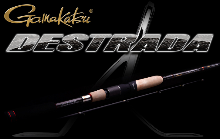 destrada4.JPG